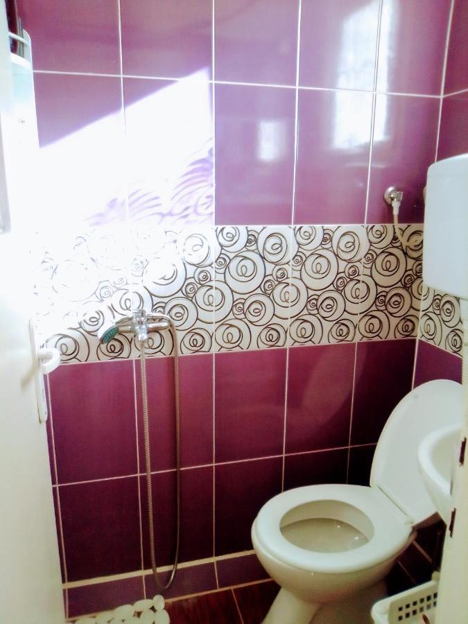 Timocko Gnezdo Guest House Zajecar Exterior photo