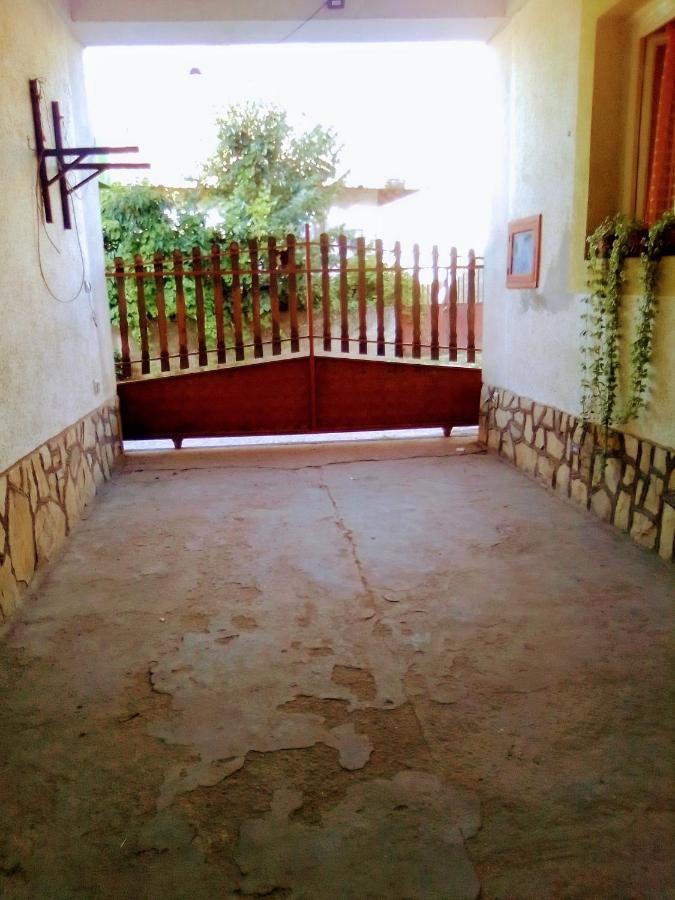 Timocko Gnezdo Guest House Zajecar Exterior photo
