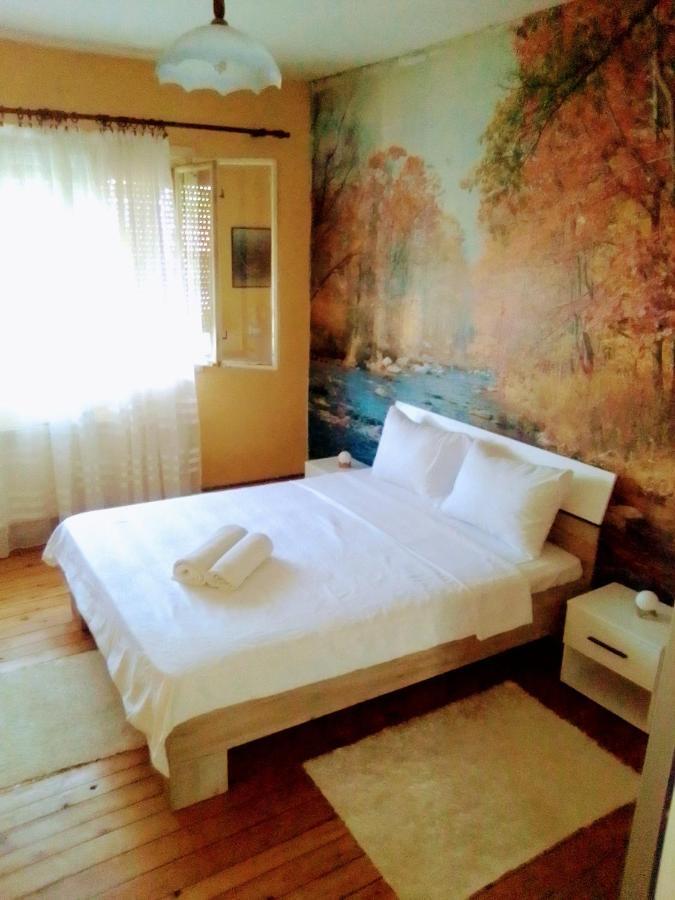 Timocko Gnezdo Guest House Zajecar Exterior photo